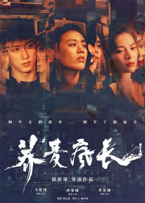 购买假明尼苏达州出生证明